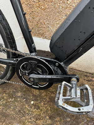 Raleigh Mustang E Comp 2019