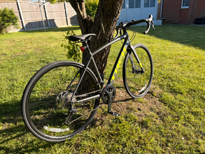 Trek Domane AL 3 Disc 2022