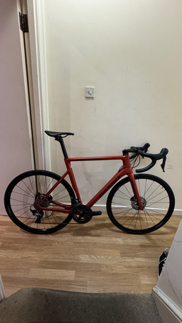 Basso Astra Disc Frameset 2021