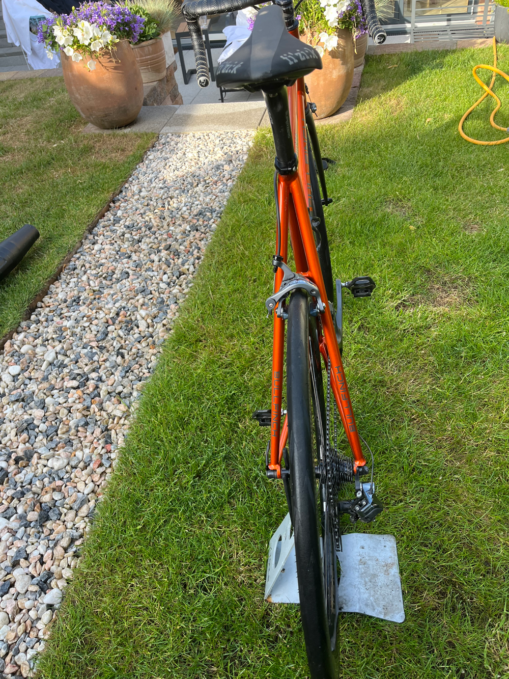 Bullfinch  AR44 2017