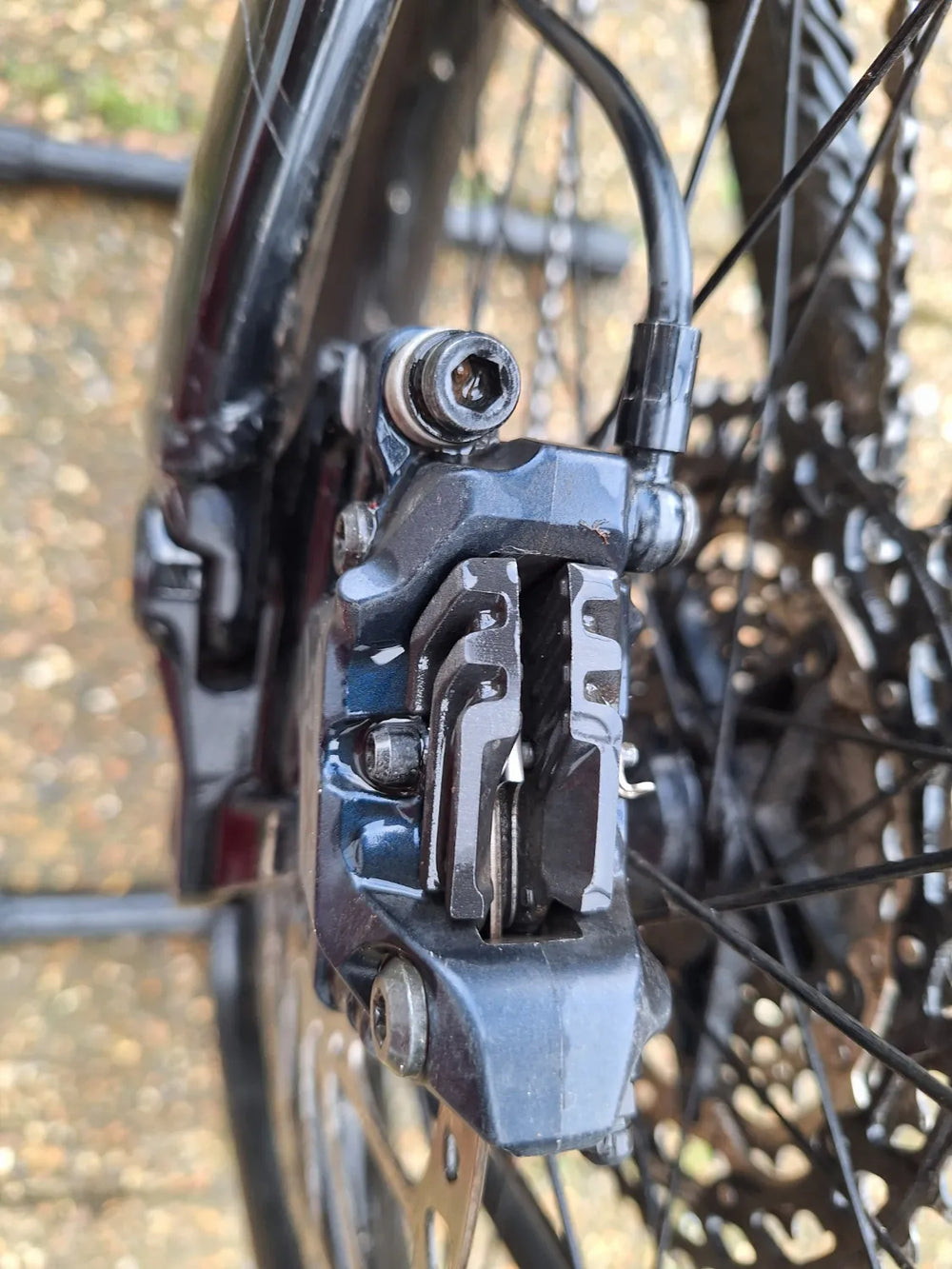 Marin Alpine Trail E2 2023