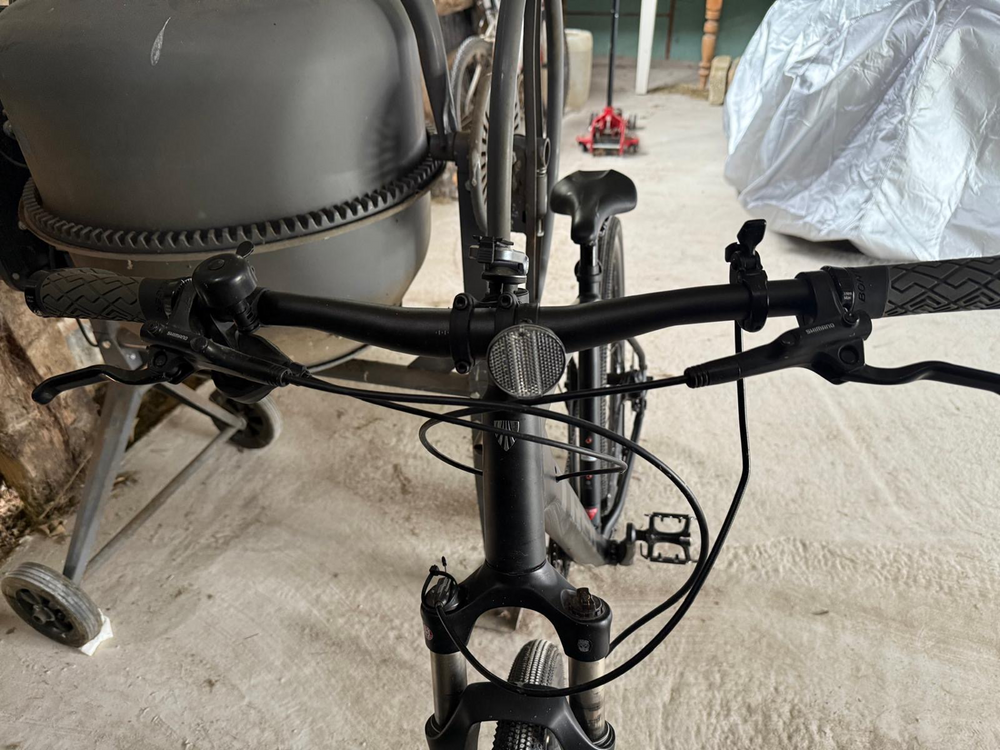 Trek Dual Sport 4 2021