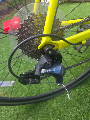 Cannondale Optimo