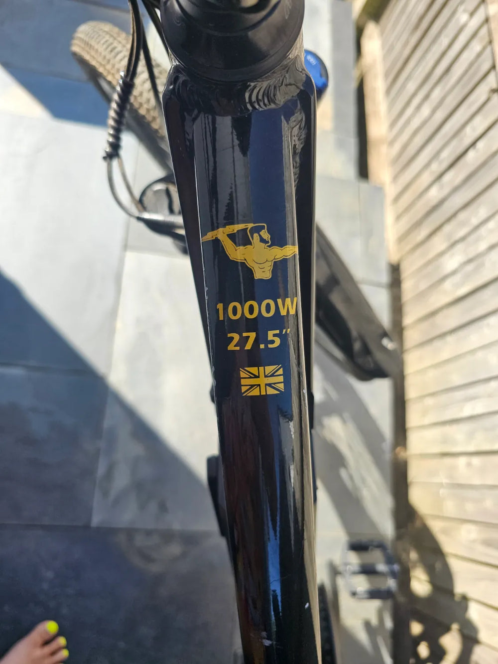Ersin Hybrid 1000 2022