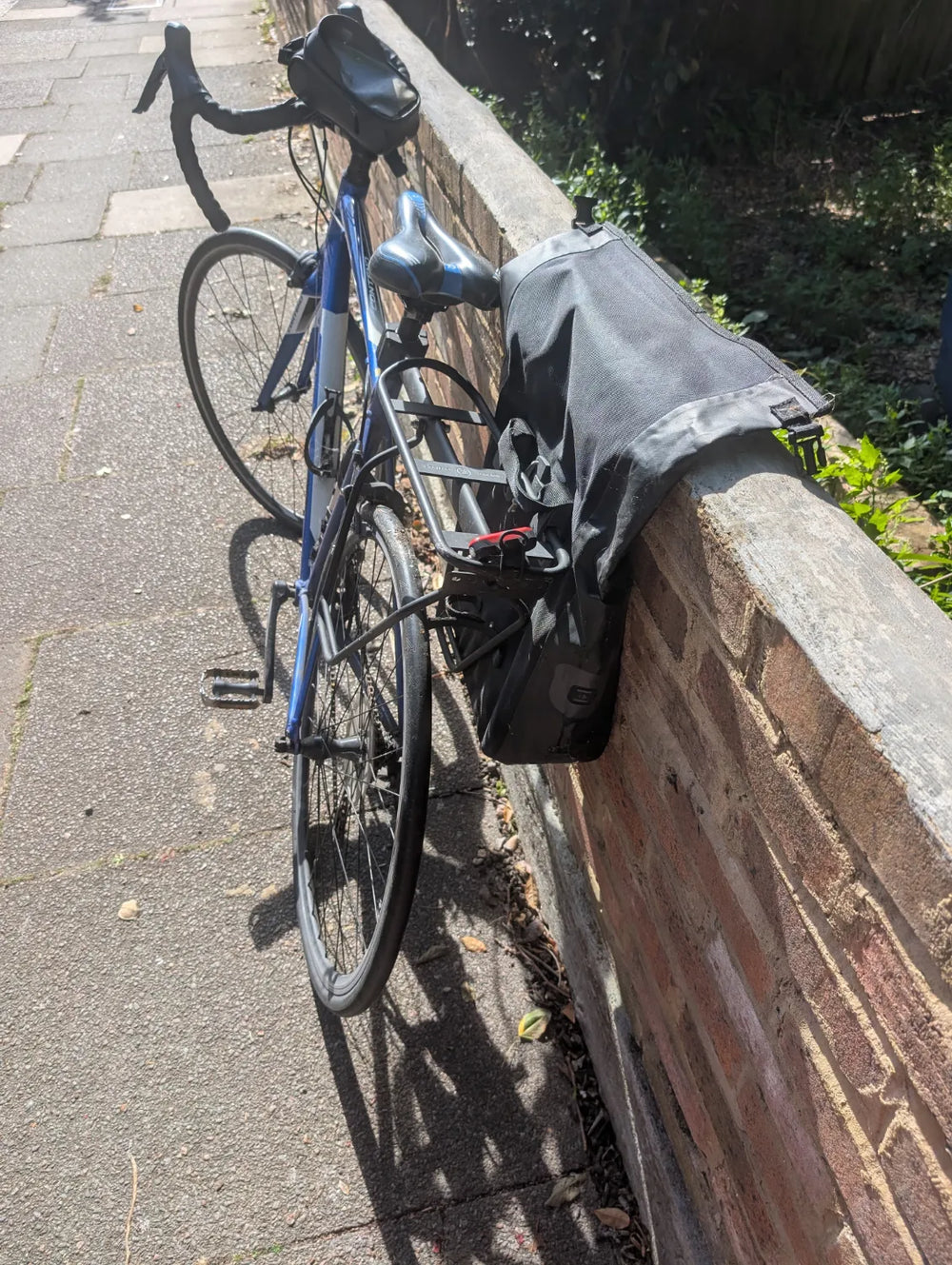 Giant Contend 2 2020