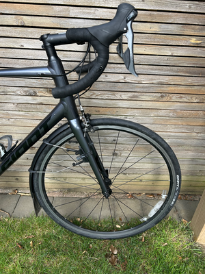 Giant Contend 2 2023