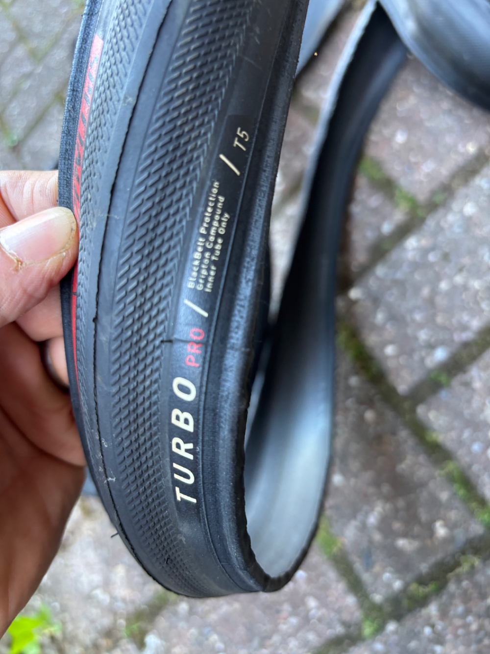 Specialized Tarmac SL7 Expert 2024