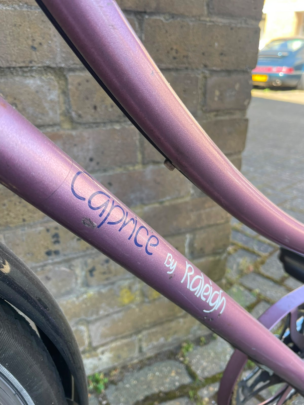 Raleigh Caprice Unsure