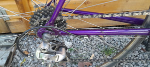 Raleigh 531 1995