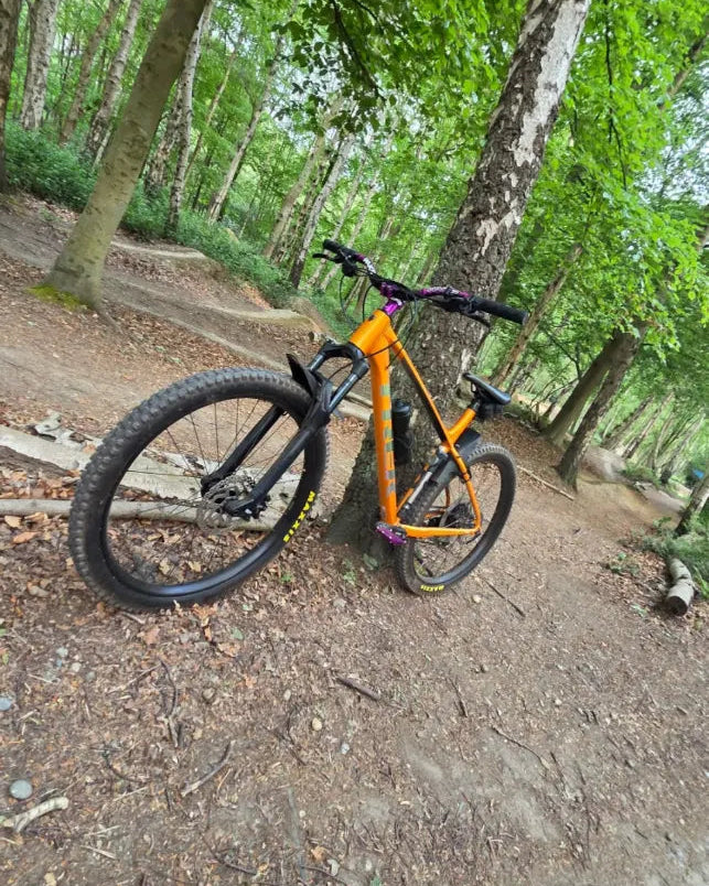 Trek Roscoe 7 2024