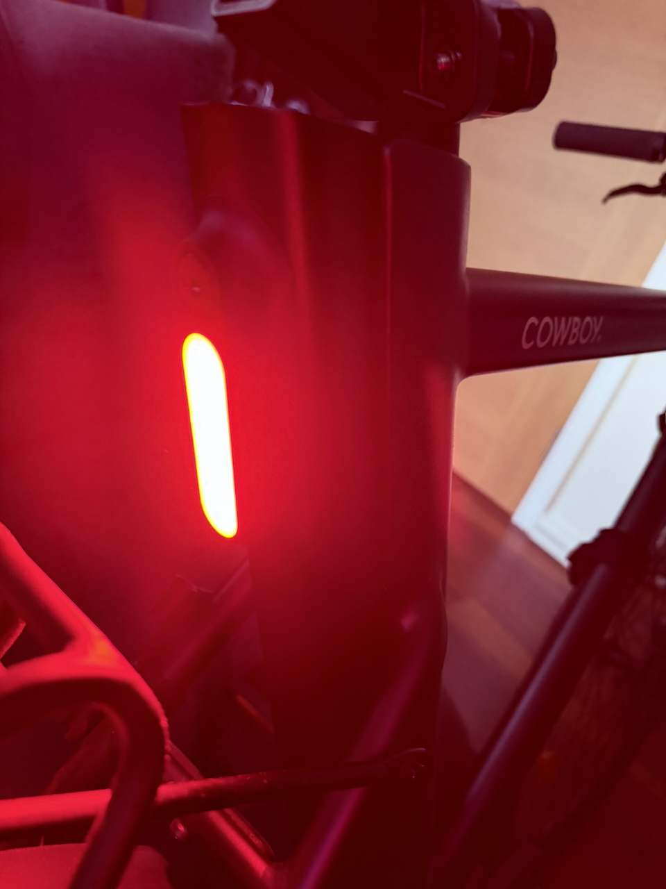 Cowboy Cowboy 2 2020