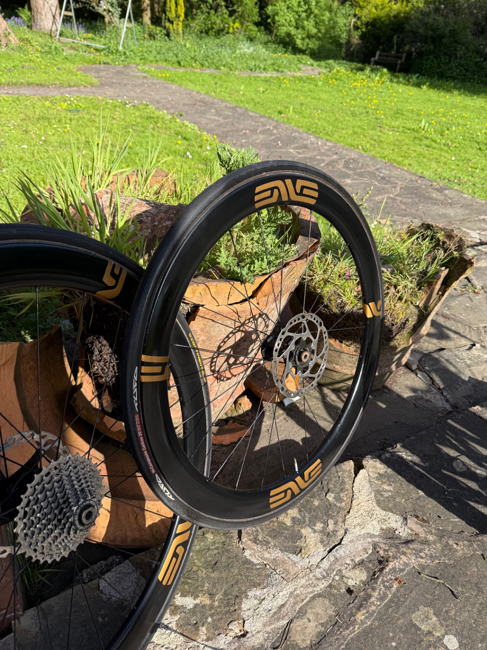 Storck Tix 2020