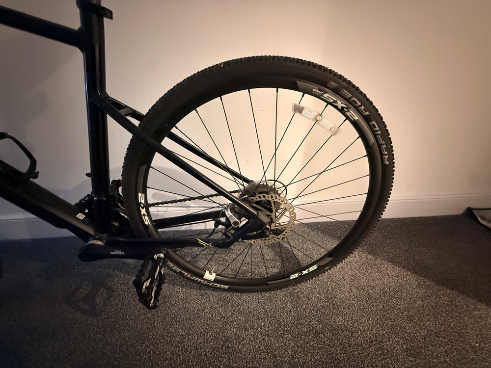 Giant Revolt 1 2017
