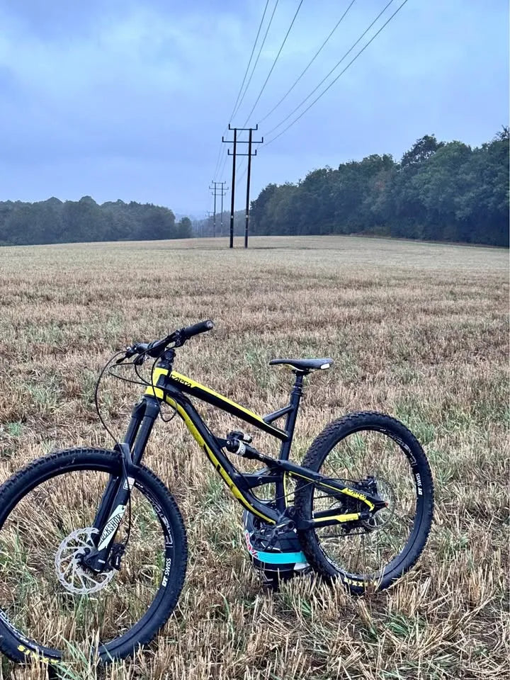 YT Industries YT Capra AL 2017