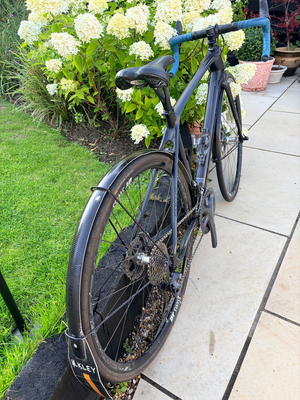 Focus Donna Ultegra 2018