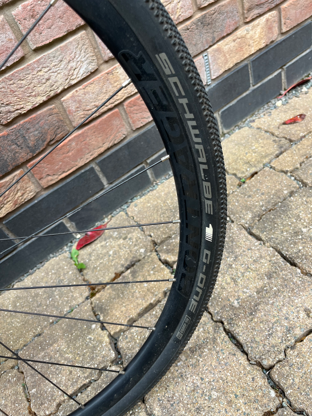 Trek Domane+ 2019