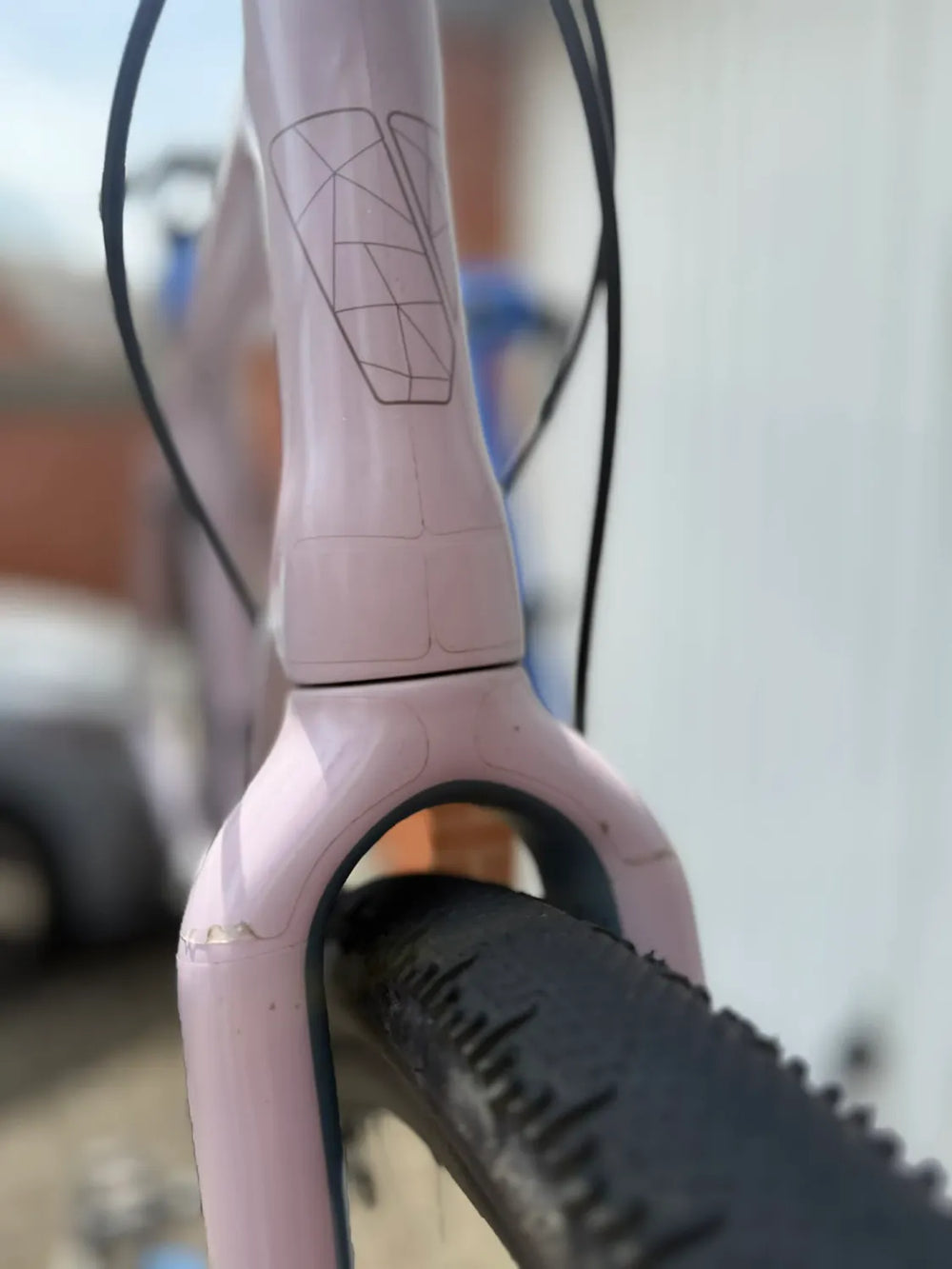 Vielo V+1 2021