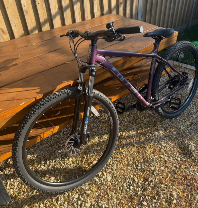 Carrera Hellcat Womens Mountain Bike 2020