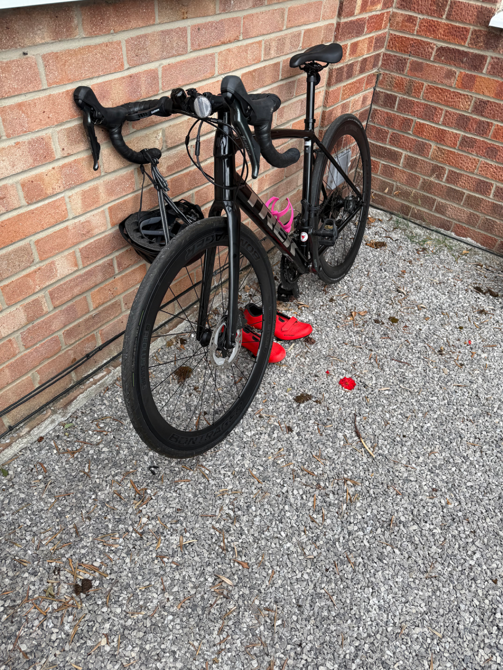 Trek Domane AL 4 Disc 2021