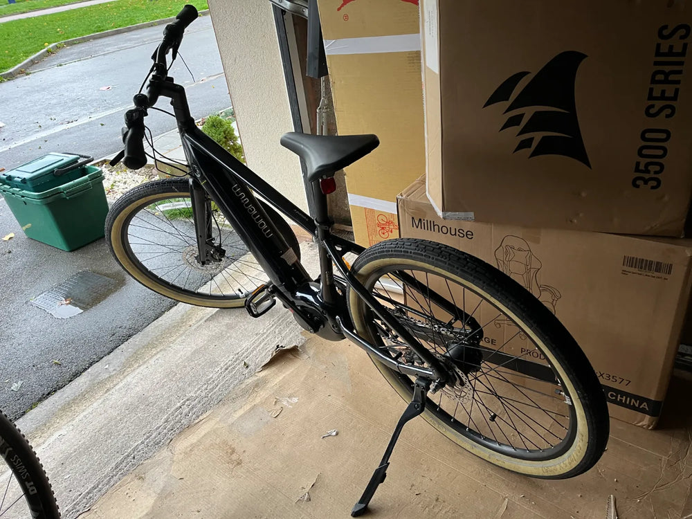 Momentum Transend E+ 2022