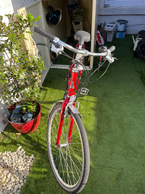 Raleigh Pioneer 2 2015
