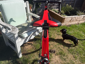 Cannondale Synapse 2016