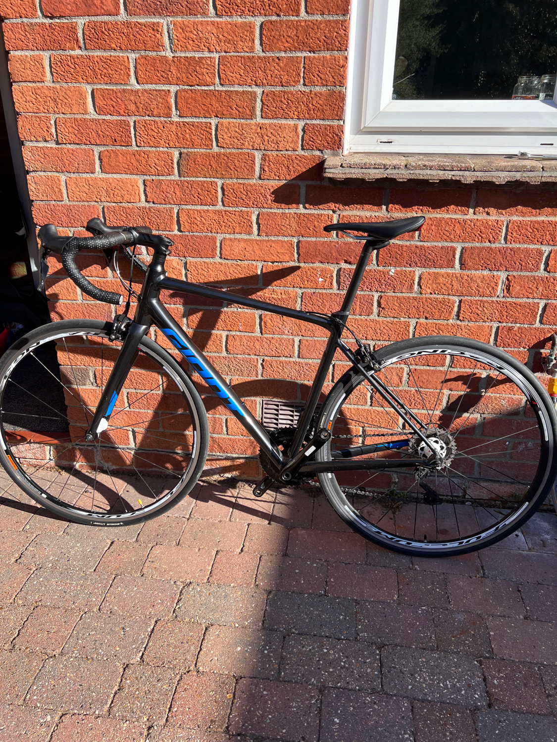 Giant Contend 2 2022