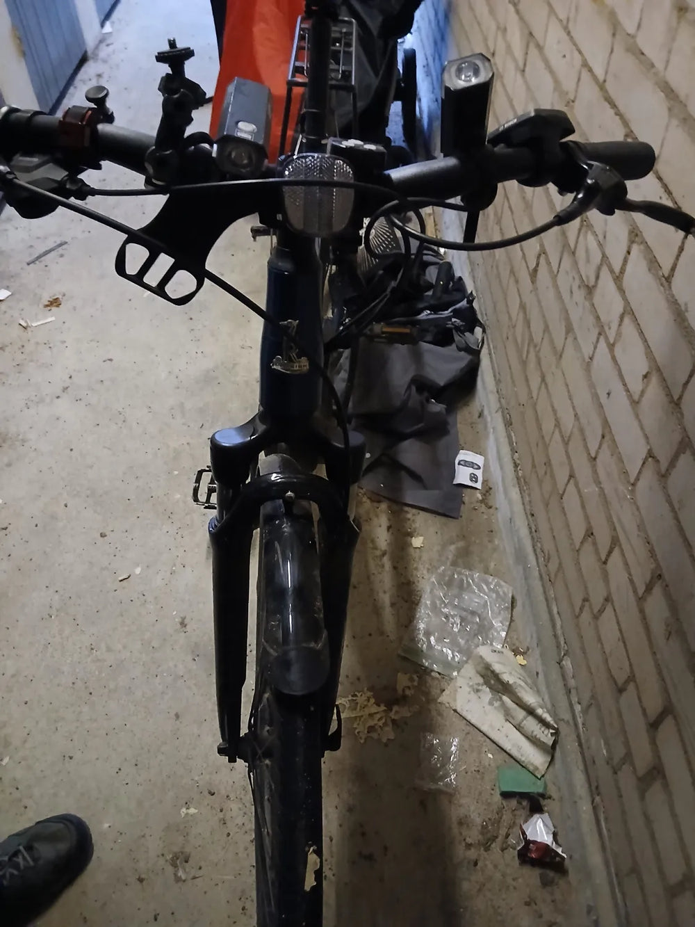 Raleigh Felix 2022