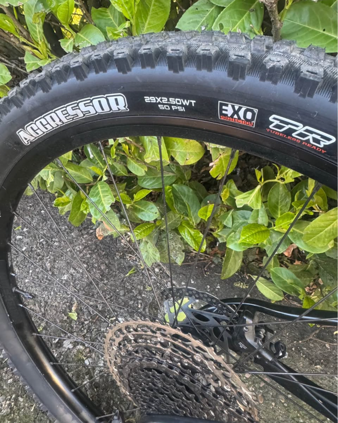 Trek Supercaliber 9.6 2023