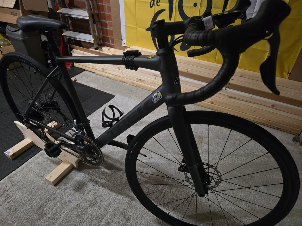 Trek Domane AL 2 Gen 4 2024