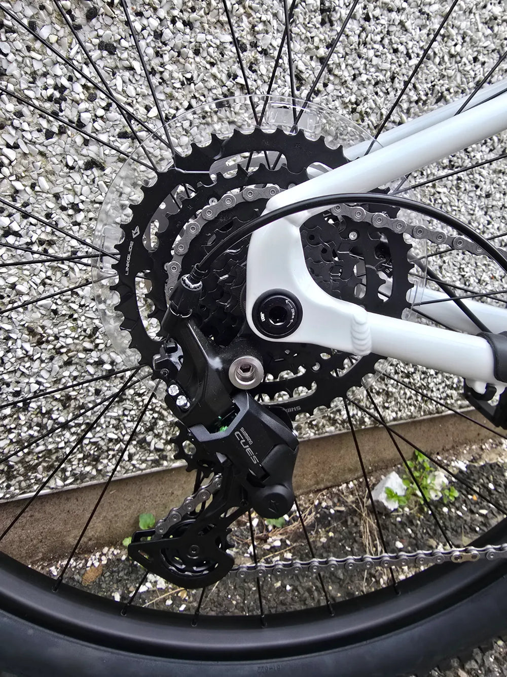 Whyte Secta R 2026