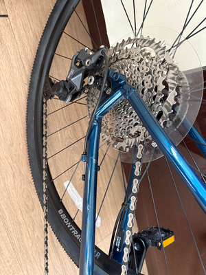 Trek Dual Sport 3