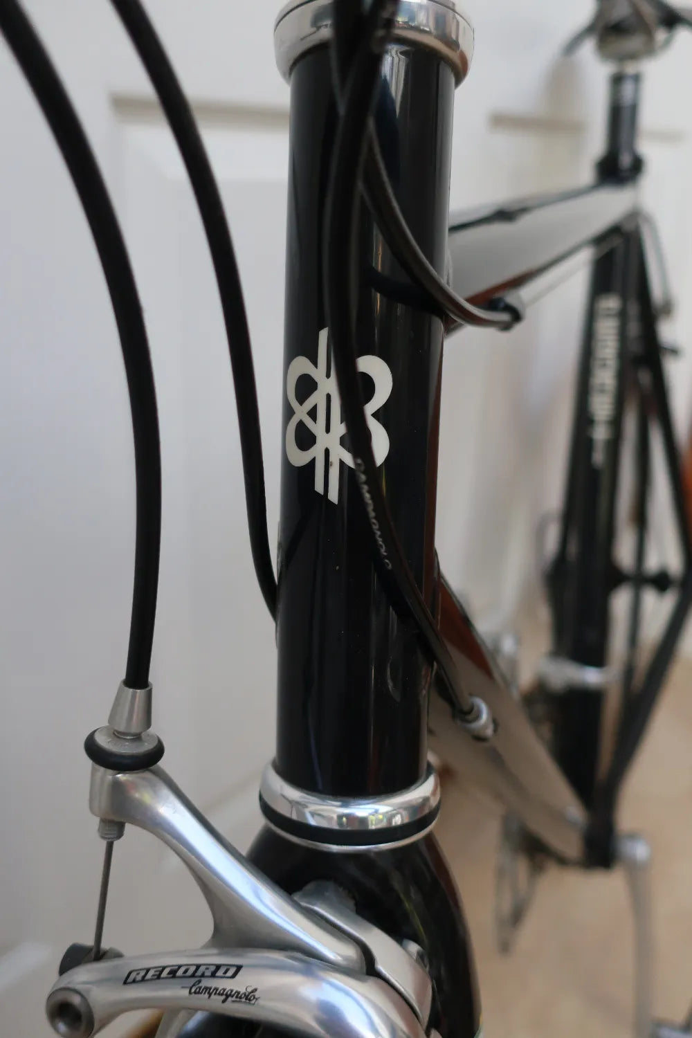 Pegoretti Fina Estampa 2003