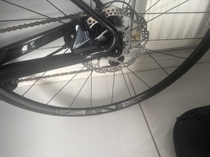 Silver Back Ultegra carbon 2024