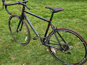 Avenir Ace  2015