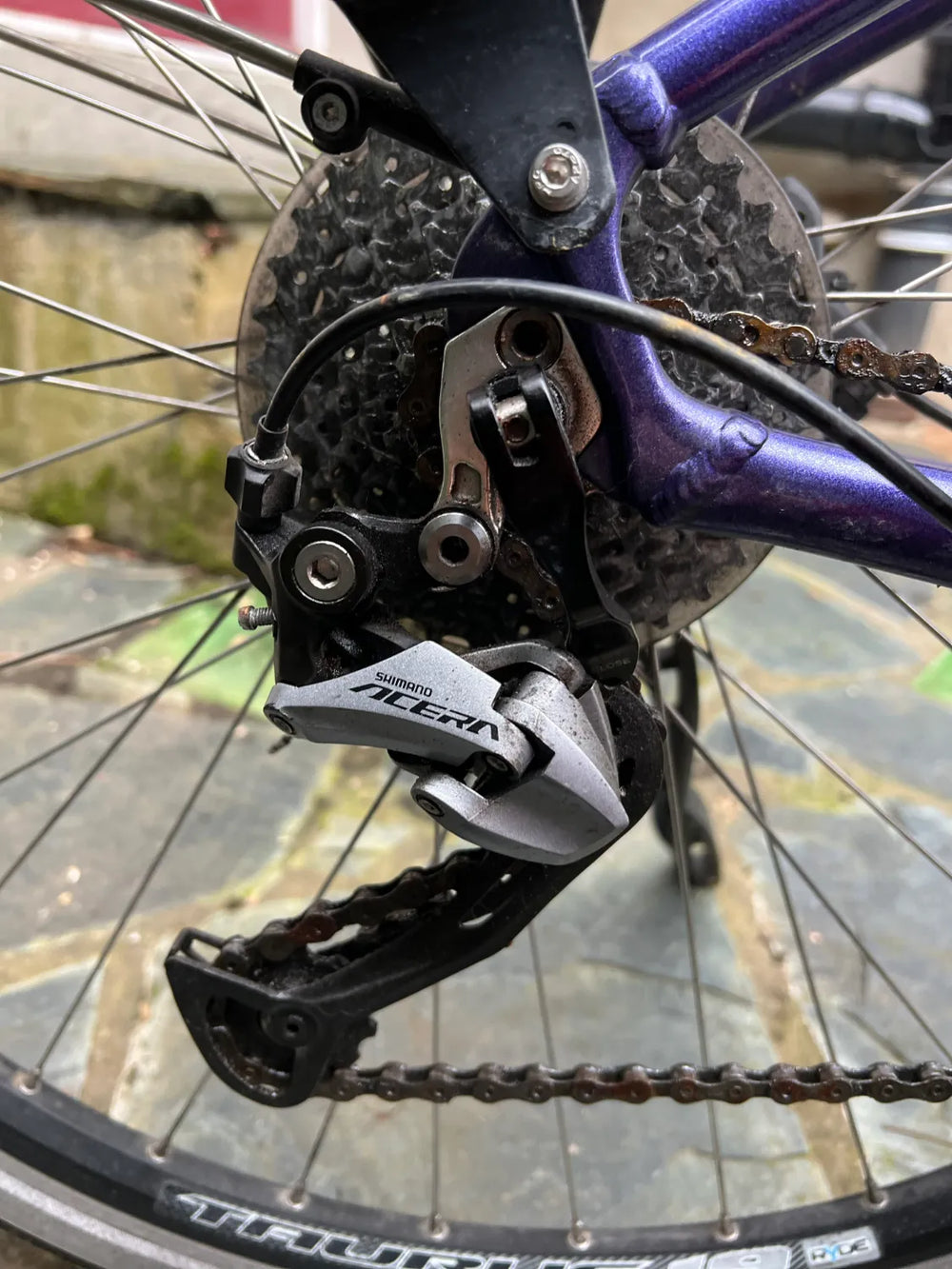 Raleigh Captus 2017