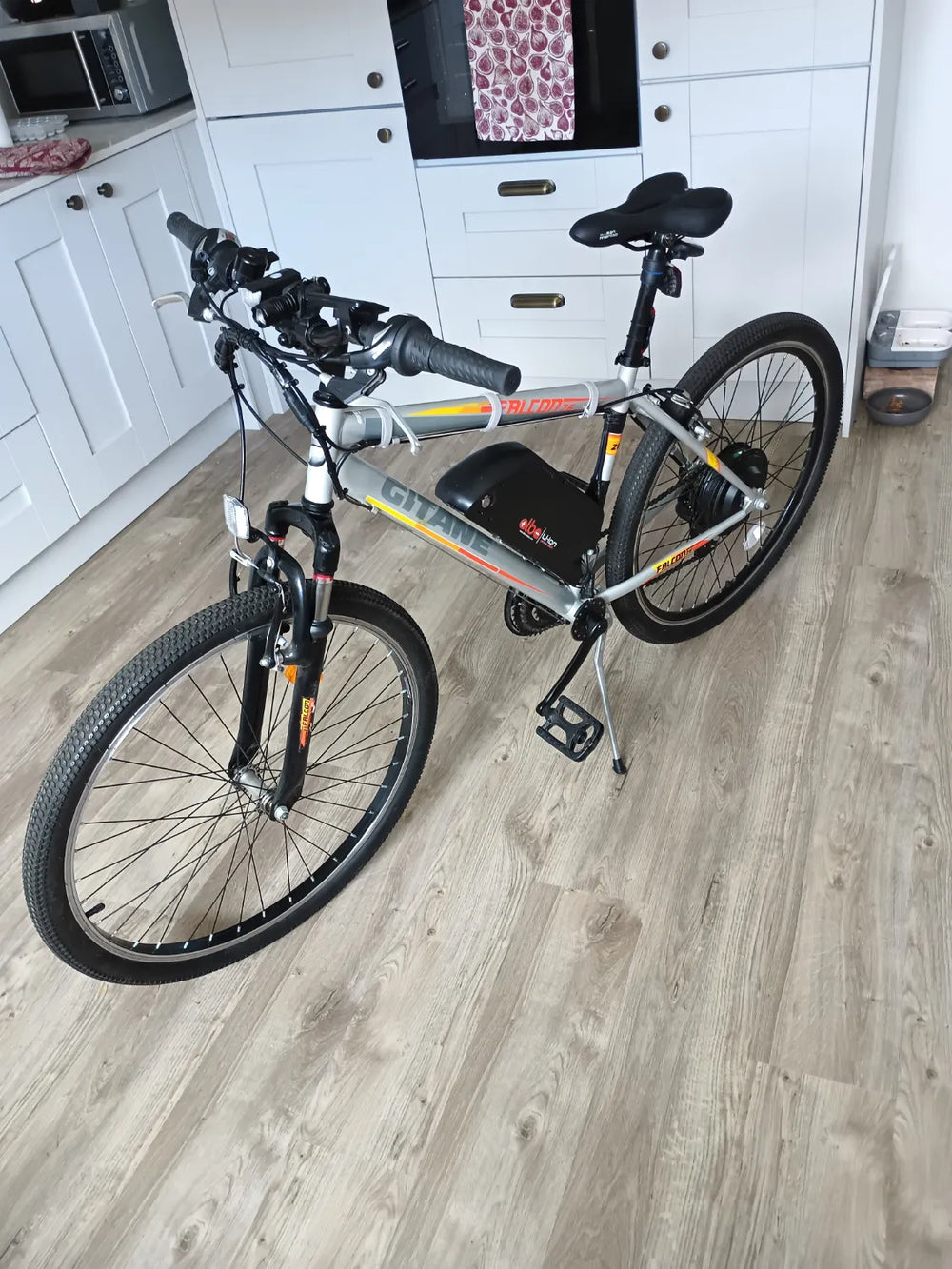 Gitane Falcon  2022