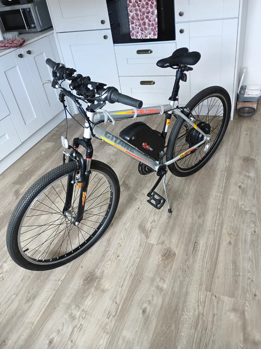 Gitane Falcon  2022
