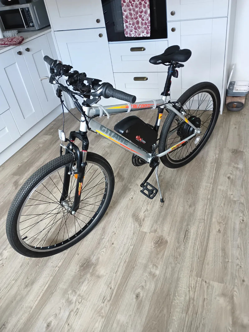 Gitane Falcon  2022