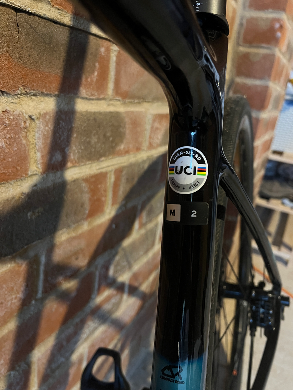 Liv Avail Advanced 2 2021