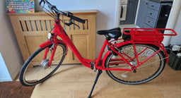 Ridgeback Electron 2024