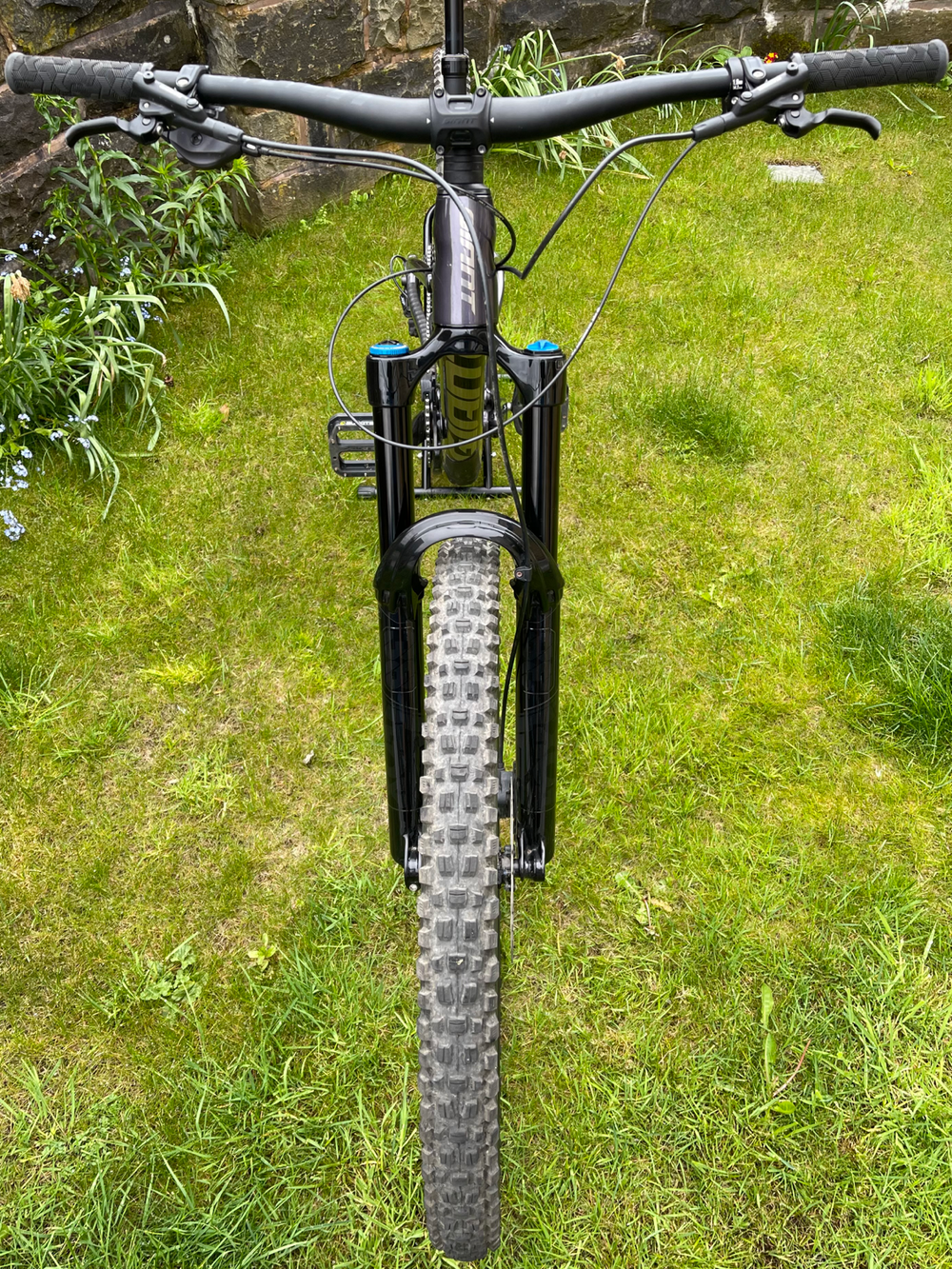 Giant Reign 1 29 Enduro 2021