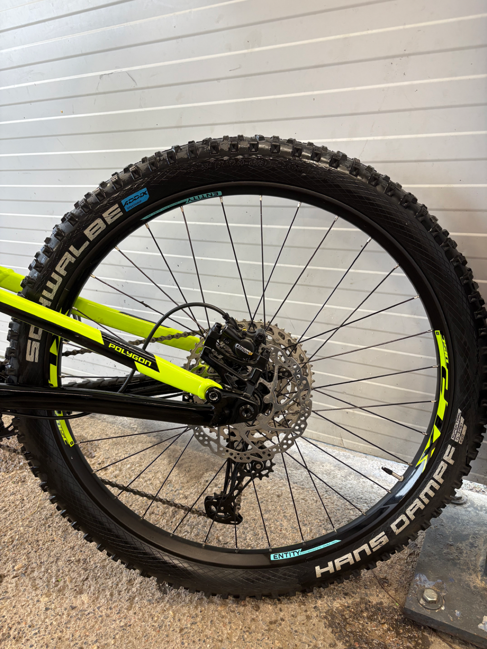Polygon SISKIU T7 2021