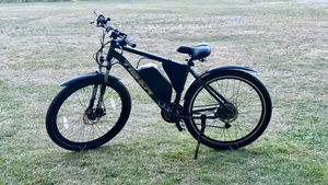 Tiger Customised 2025
