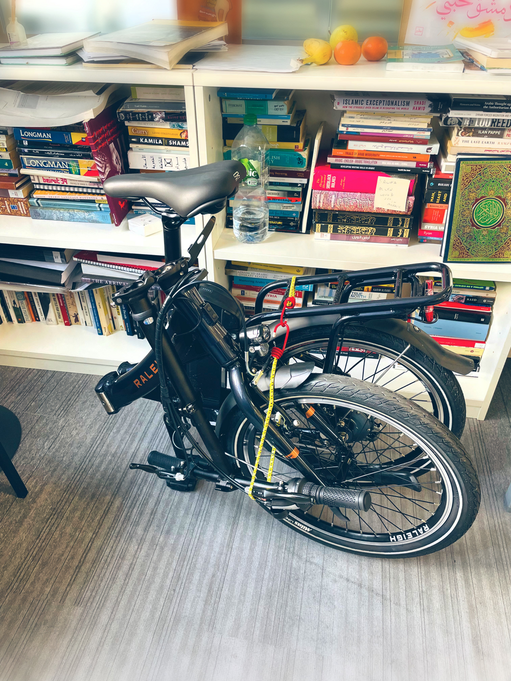 Raleigh Stowaway Folding 2025