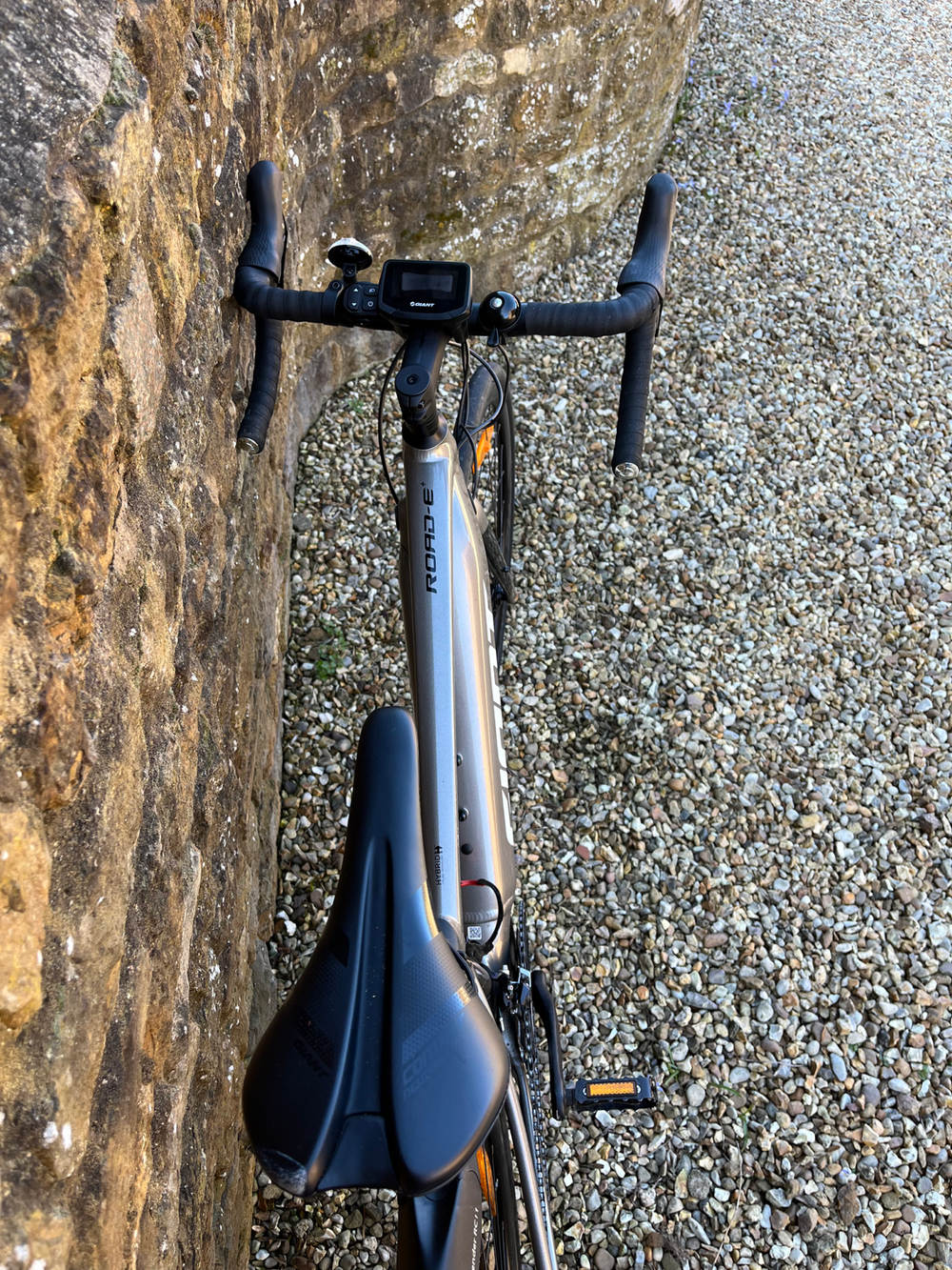 Giant E+2 Pro 2020