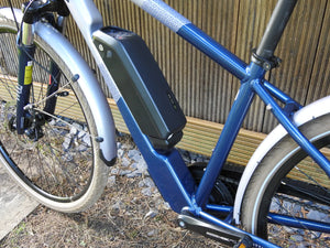 Raleigh Array E Motion Crossbar 700c 2022