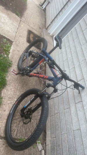 Carrera Vendetta
