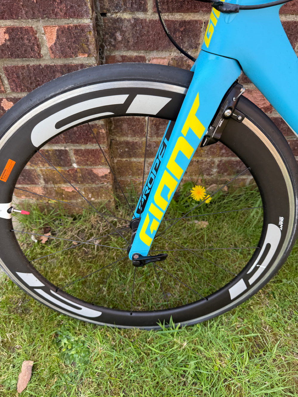 Giant Propel Advanced SL Frameset 2016