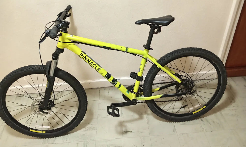 Pinnacle Kapur 1 2020